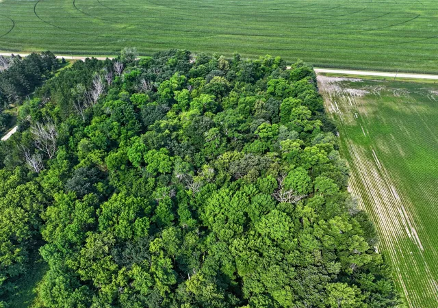 4th image of Tbd Johnson Rd Ne, Nelson, MN 56355 | MLS# 7119043
