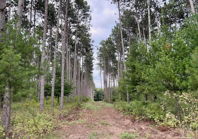 1st image of (lot 1) Tbd Tulip St Nw, Stanchfield, MN 55080 | MLS# 7119047