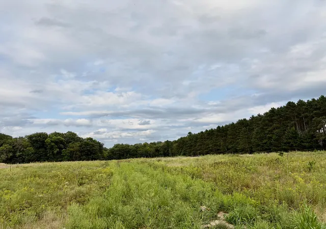 1st image of (lot 3) Tbd Tulip St Nw, Stanchfield, MN 55080 | MLS# 7119063