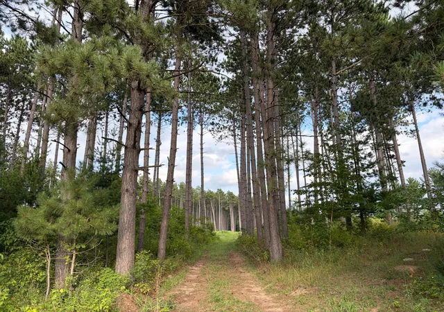 1st image of (lot 4) Tbd Tulip St Nw, Stanchfield, MN 55080 | MLS# 7119065