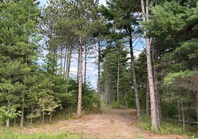1st image of (lot 5) Tbd Tulip St Nw, Stanchfield, MN 55080 | MLS# 7119069