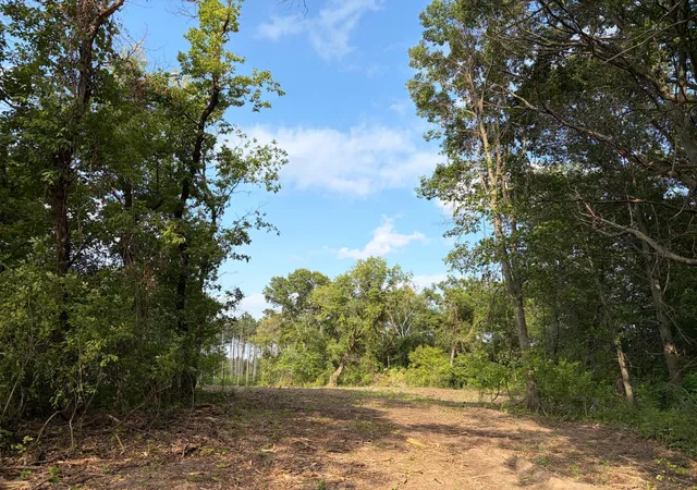 1st image of (lot 7) Tbd Tulip St Nw, Stanchfield, MN 55080 | MLS# 7119075