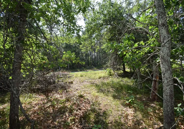 58th image of 31075 N Bass Lake Rd, Danbury, WI 54830 | MLS# 7119135