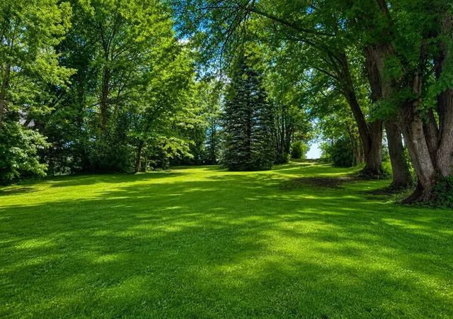 Photo 3 of Land for sale at 8159 Greer Ave NW, Maple Lake, MN 55358 | MLS# 7119151 | Listing updated on 2026-08-01