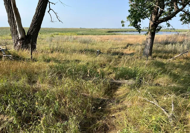 Photo 94 of Single family home for sale at 10441 County Road 14, Binford, ND 58416 | MLS# 7119165 | Listing updated on 2026-08-25