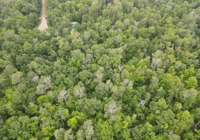 4th image of Tbd Woodpecker Ln, Sandstone, MN 55072 | MLS# 7119331