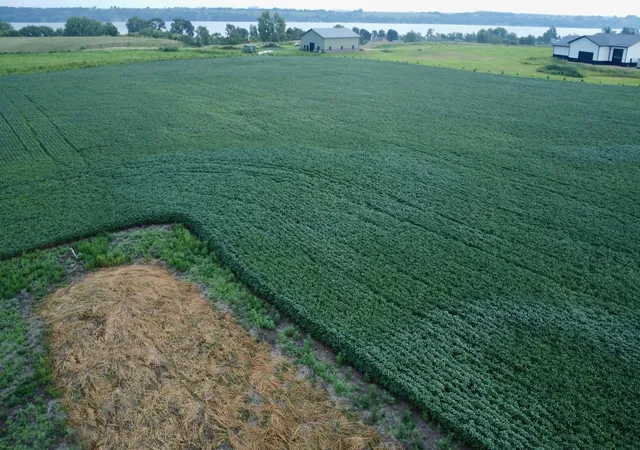 Photo 2 of Land for sale at 13720 Bernard Ave, Big Stone City, SD 57216 | MLS# 7119394 | Listing updated on 2026-07-31