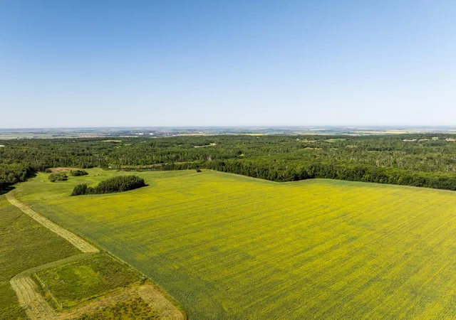 Photo 1 of Land for sale at Tbd Lake Rd, Bottineau, ND 58318 | MLS# 7119812 | Listing updated on 2026-08-03