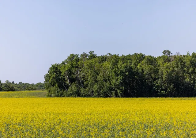 Photo 3 of Land for sale at Tbd Lake Rd, Bottineau, ND 58318 | MLS# 7119812 | Listing updated on 2026-08-03