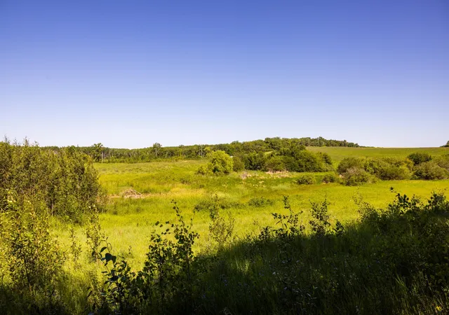 Photo 74 of Land for sale at Tbd Lake Rd, Bottineau, ND 58318 | MLS# 7119812 | Listing updated on 2026-08-03