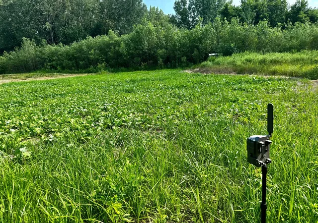 1st image of Tbd Grove St, Le Sueur, MN 56058 | MLS# 7119884