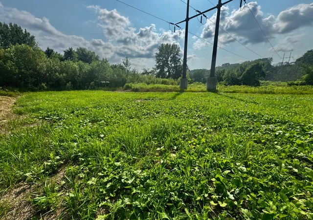 2nd image of Tbd Grove St, Le Sueur, MN 56058 | MLS# 7119884