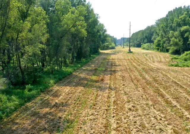 3rd image of Tbd Grove St, Le Sueur, MN 56058 | MLS# 7119884