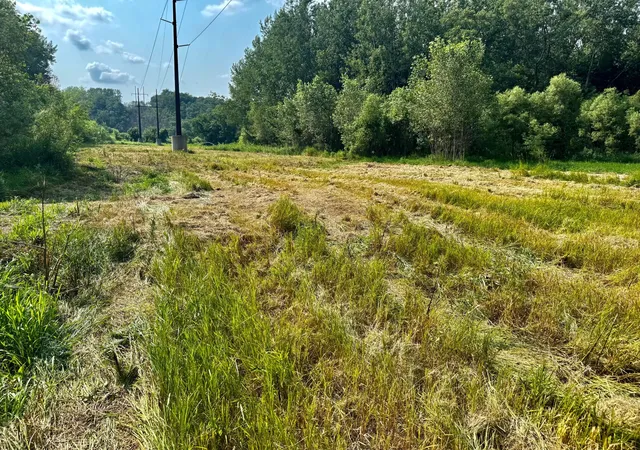 5th image of Tbd Grove St, Le Sueur, MN 56058 | MLS# 7119884