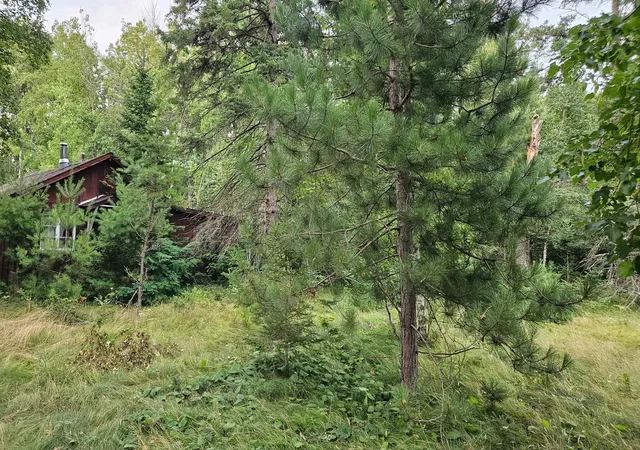 Photo 3 of Land for sale at 7712 County Rd 13, Nisswa, MN 56468 | MLS# 7120018 | Listing updated on 2026-08-03