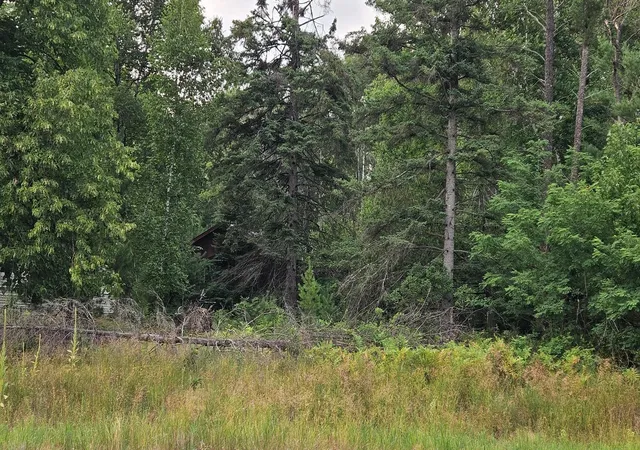Photo 4 of Land for sale at 7712 County Rd 13, Nisswa, MN 56468 | MLS# 7120018 | Listing updated on 2026-08-03