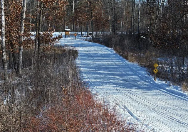 10th image of 25483 Twin Leaf Cir, Nisswa, MN 56468 | MLS# 7120031