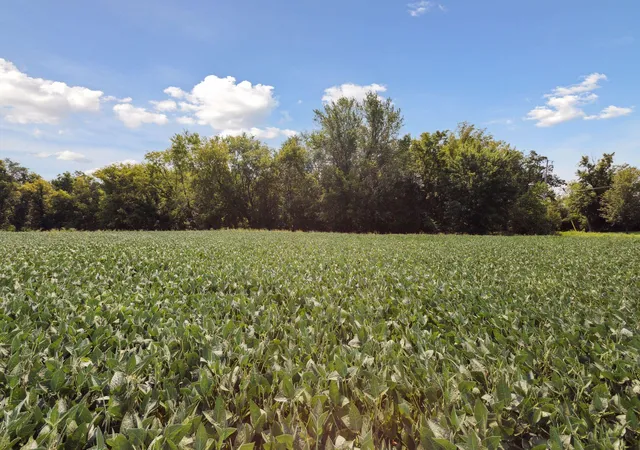 4th image of 24X4 Holy Name Dr, Medina, MN 55340 | MLS# 7120106