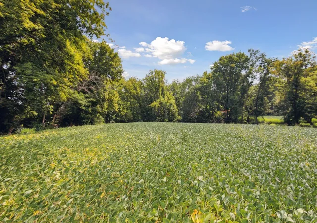 5th image of 24X4 Holy Name Dr, Medina, MN 55340 | MLS# 7120106