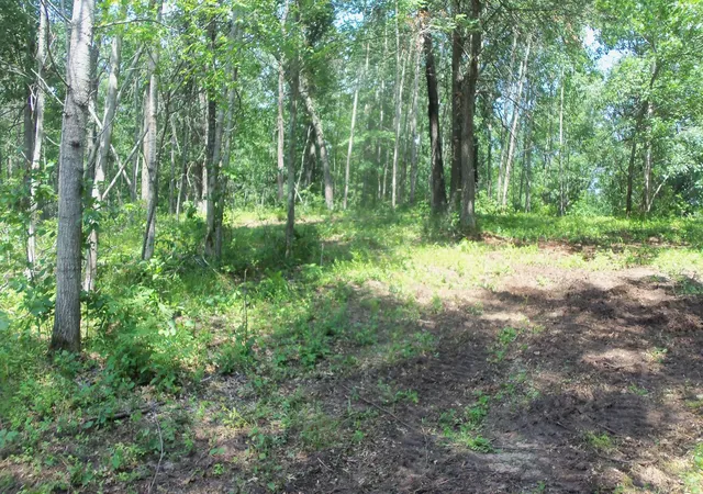 4th image of Lot 6 Birch Tree Trl, Spooner, WI 54801 | MLS# 7120162