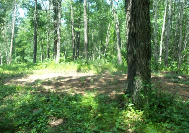 5th image of Lot 6 Birch Tree Trl, Spooner, WI 54801 | MLS# 7120162