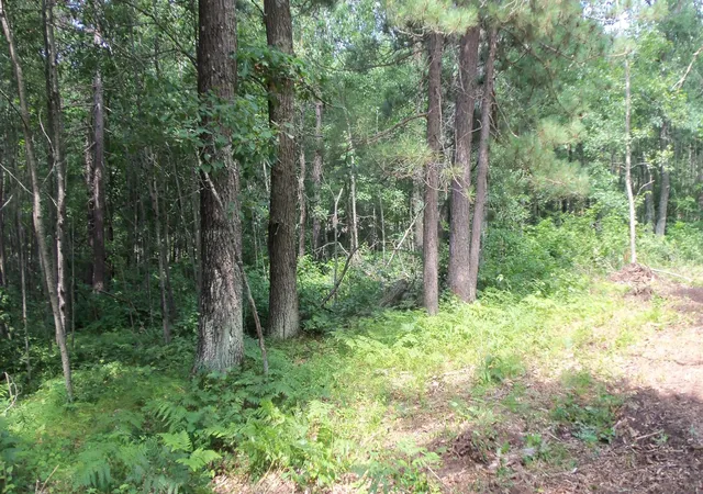 3rd image of Lot 7 Birch Tree Trl, Spooner, WI 54801 | MLS# 7120163