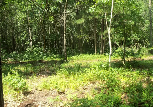 4th image of Lot 7 Birch Tree Trl, Spooner, WI 54801 | MLS# 7120163