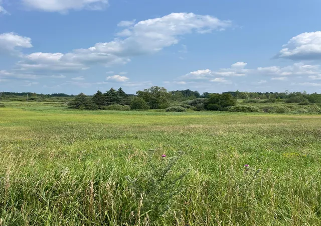 1st image of 14331 395th Ln, Tamarack, MN 55787 | MLS# 7120217