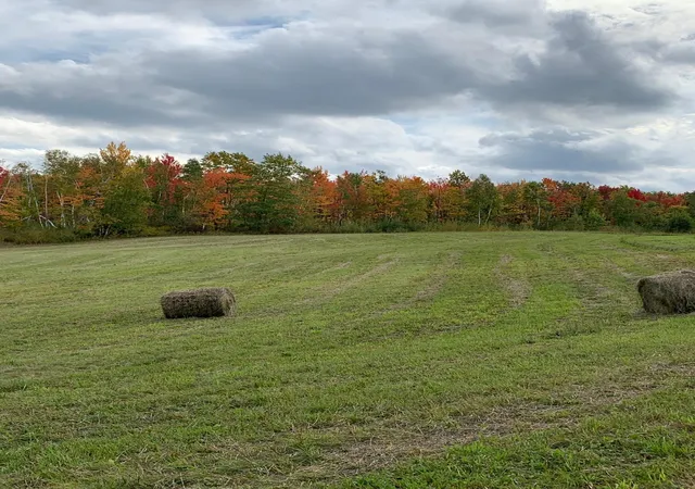 Photo 1 of Land for sale at 14331 395th Lane, Tamarack, MN 55787 | MLS# 7120217 | Listing updated on 2026-10-01