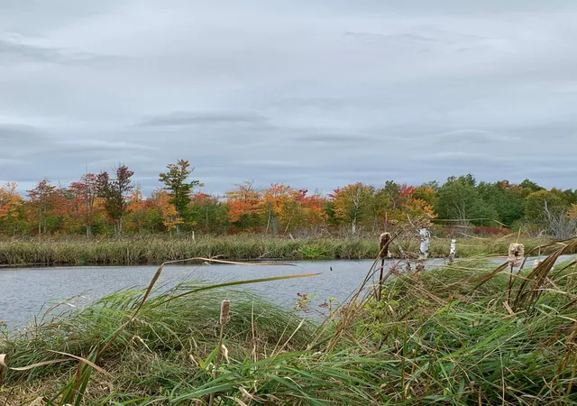 Photo 2 of Land for sale at 14331 395th Lane, Tamarack, MN 55787 | MLS# 7120217 | Listing updated on 2026-10-01