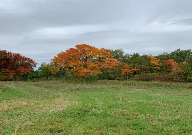 Photo 3 of Land for sale at 14331 395th Lane, Tamarack, MN 55787 | MLS# 7120217 | Listing updated on 2026-10-01