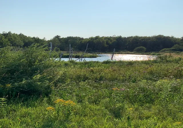 Photo 3 of Land for sale at 14331 395th Lane, Tamarack, MN 55787 | MLS# 7120217 | Listing updated on 2026-10-01