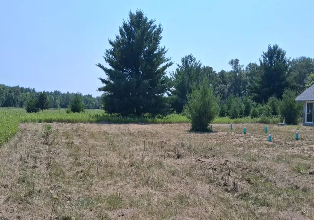 5th image of 28274 Orb Dr, Browerville, MN 56438 | MLS# 7120263