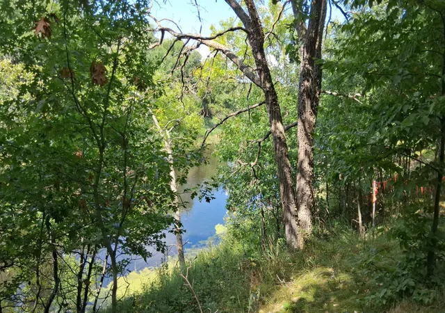 Photo 3 of Land for sale at 38869 Odin Ct, Browerville, MN 56438 | MLS# 7120279 | Listing updated on 2026-08-28