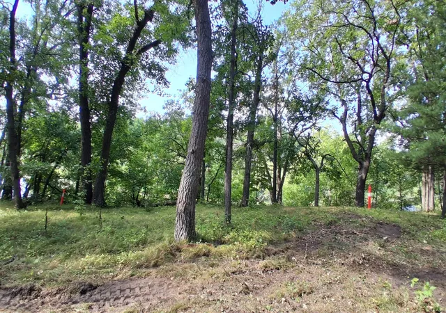 Photo 3 of Land for sale at 38869 Odin Ct, Browerville, MN 56438 | MLS# 7120279 | Listing updated on 2026-08-28
