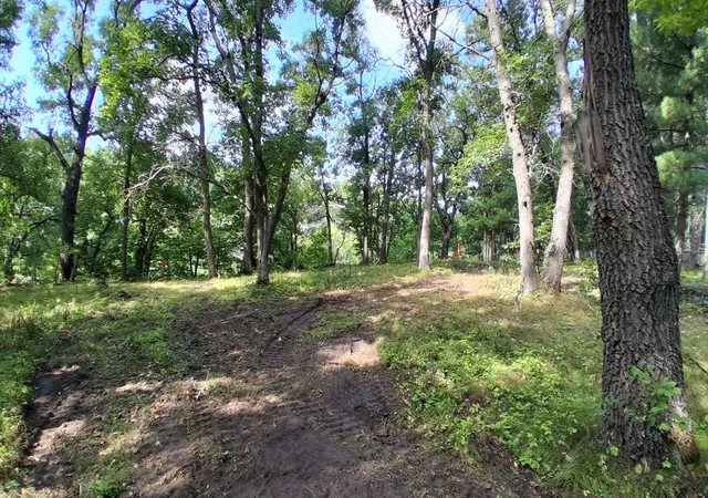 Photo 4 of Land for sale at 38869 Odin Ct, Browerville, MN 56438 | MLS# 7120279 | Listing updated on 2026-08-28