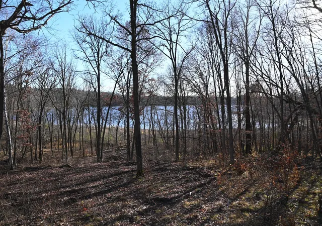2nd image of Tbd Ottawa Dr, Browerville, MN 56438 | MLS# 7120280