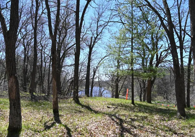 Photo 3 of Land for sale at 38903 Odin Ct, Browerville, MN 56438 | MLS# 7120281 | Listing updated on 2026-08-27