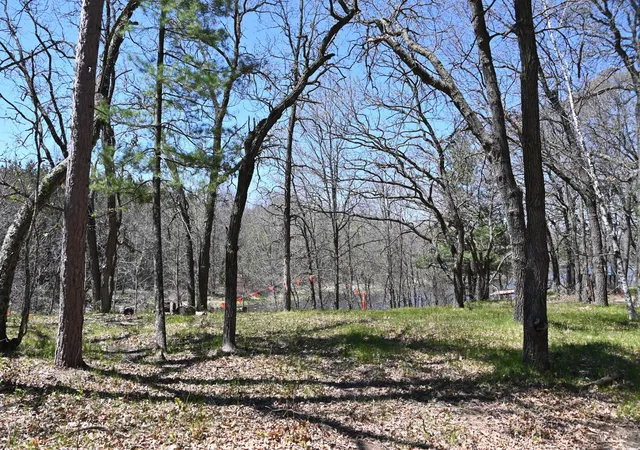 Photo 3 of Land for sale at 38903 Odin Ct, Browerville, MN 56438 | MLS# 7120281 | Listing updated on 2026-08-27
