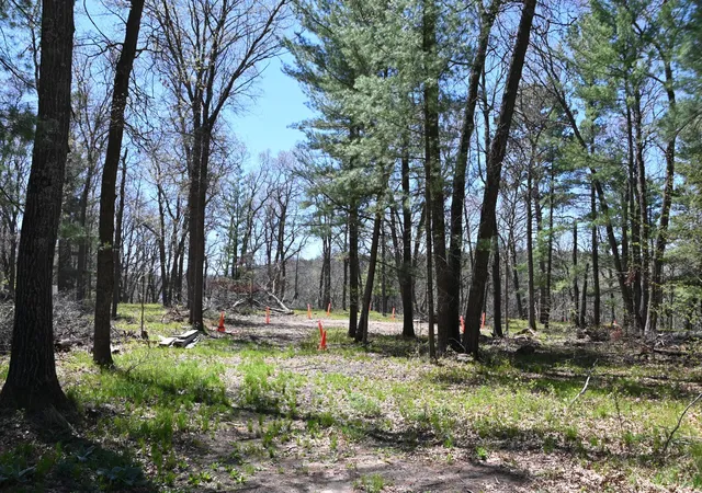 Photo 4 of Land for sale at 38903 Odin Ct, Browerville, MN 56438 | MLS# 7120281 | Listing updated on 2026-08-27