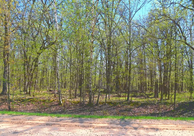 1st image of Tbd 392 St, Browerville, MN 56438 | MLS# 7120289