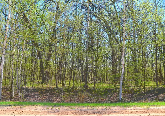 2nd image of Tbd 392 St, Browerville, MN 56438 | MLS# 7120289