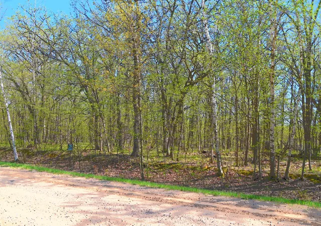 3rd image of Tbd 392 St, Browerville, MN 56438 | MLS# 7120289