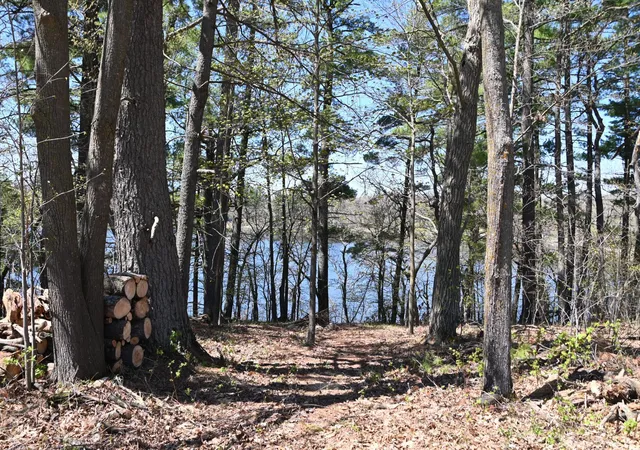 1st image of 40039 County Rd 17, Browerville, MN 56438 | MLS# 7120302