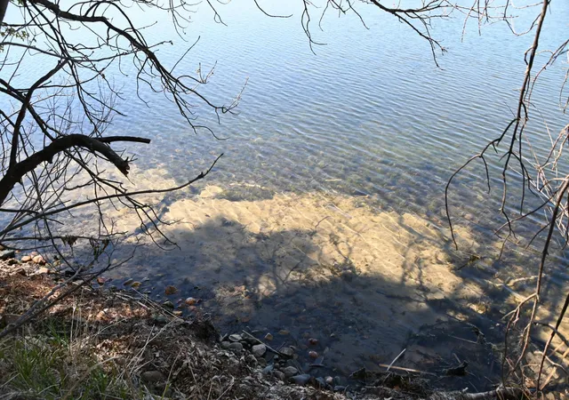 3rd image of 40039 County Rd 17, Browerville, MN 56438 | MLS# 7120302