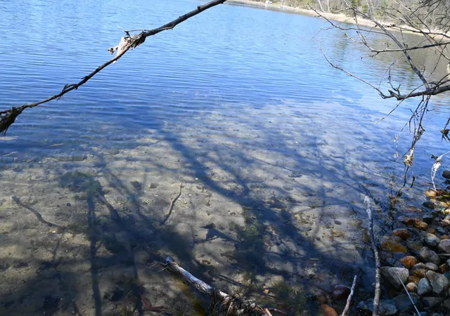 4th image of 40039 County Rd 17, Browerville, MN 56438 | MLS# 7120302