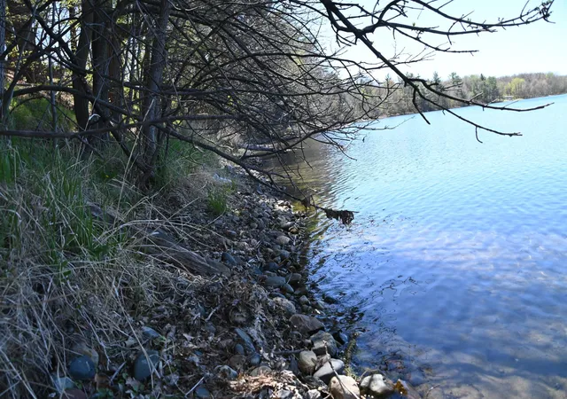 5th image of 40039 County Rd 17, Browerville, MN 56438 | MLS# 7120302