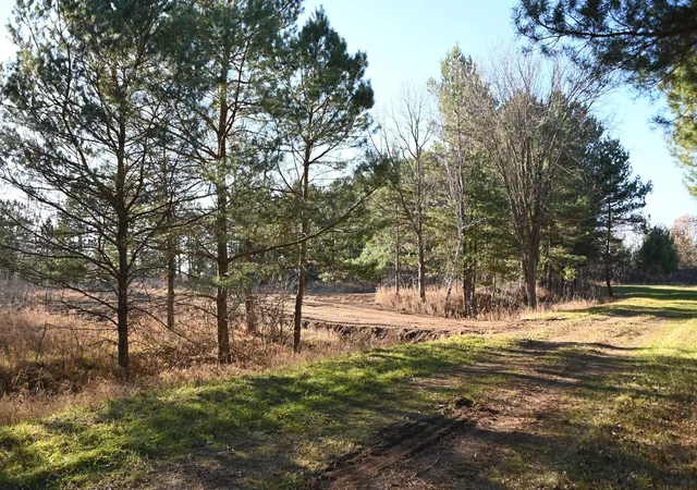 1st image of 28969 Pequot Ct, Browerville, MN 56438 | MLS# 7120314