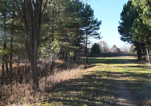 Photo 3 of Land for sale at 28969 Pequot Ct, Browerville, MN 56438 | MLS# 7120314 | Listing updated on 2026-08-02