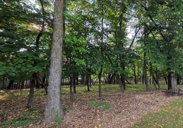 Photo 4 of Sale Pending at Lot 4 S Le Homme Dieu Dr NE, Alexandria, MN 56308 | MLS# 7120334 | Listing updated on 2026-08-25